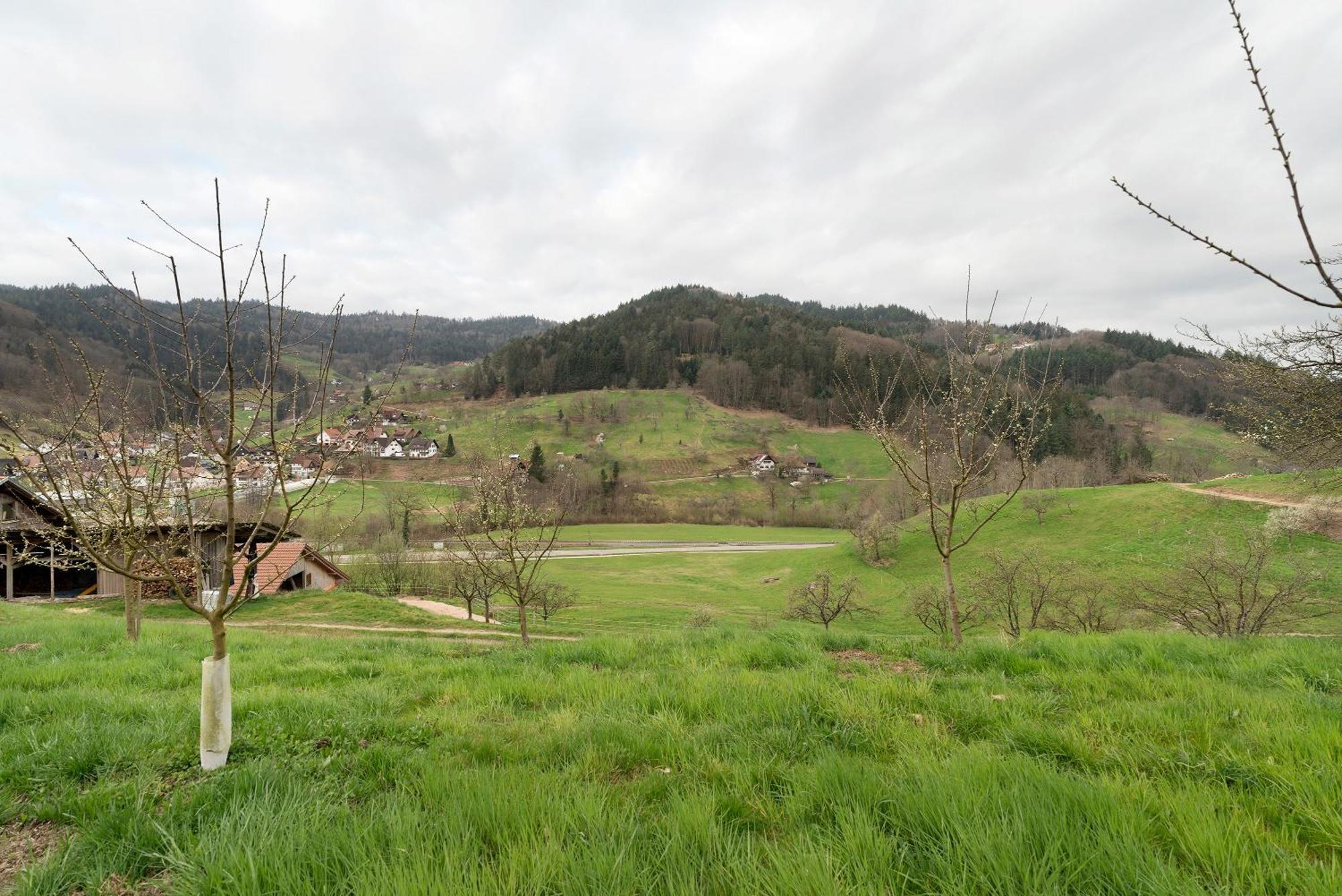 Haus Am Schroffen Apartment Ottenhofen im Schwarzwald Bagian luar foto